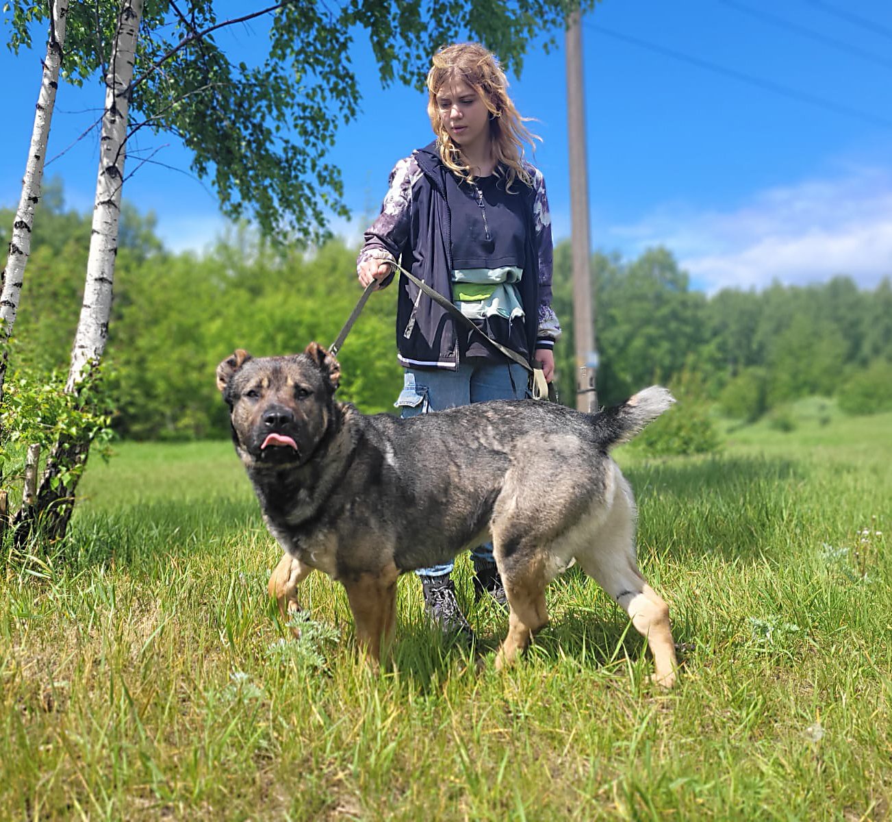 Цезарь